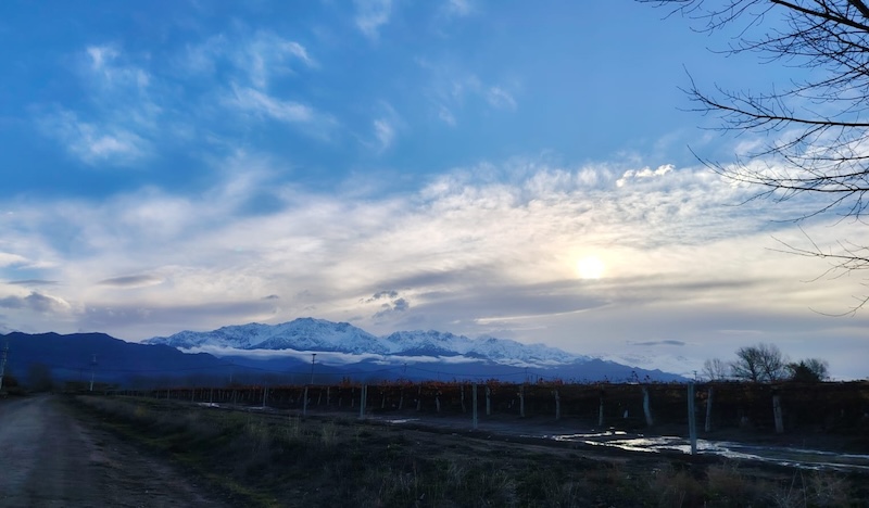 Paisaje de invierno en Valle de Uco.
