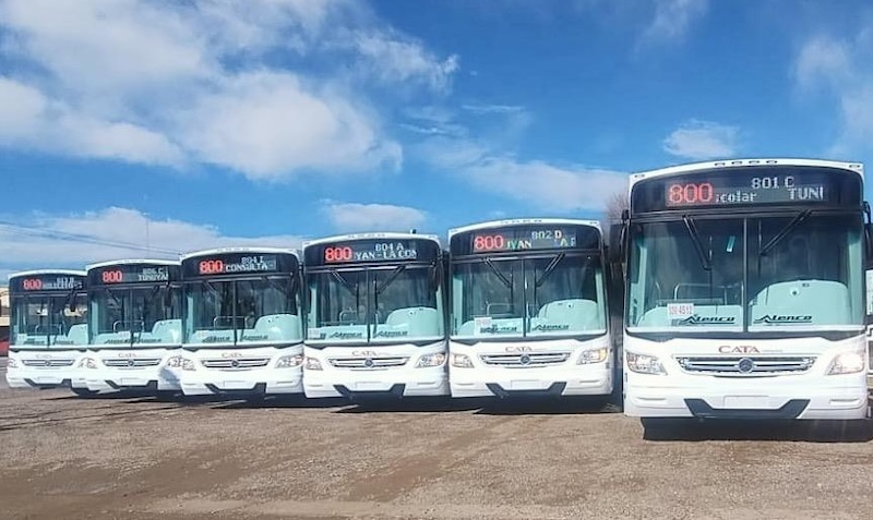 Los modernos coches que se incorporan al transporte público de la región.