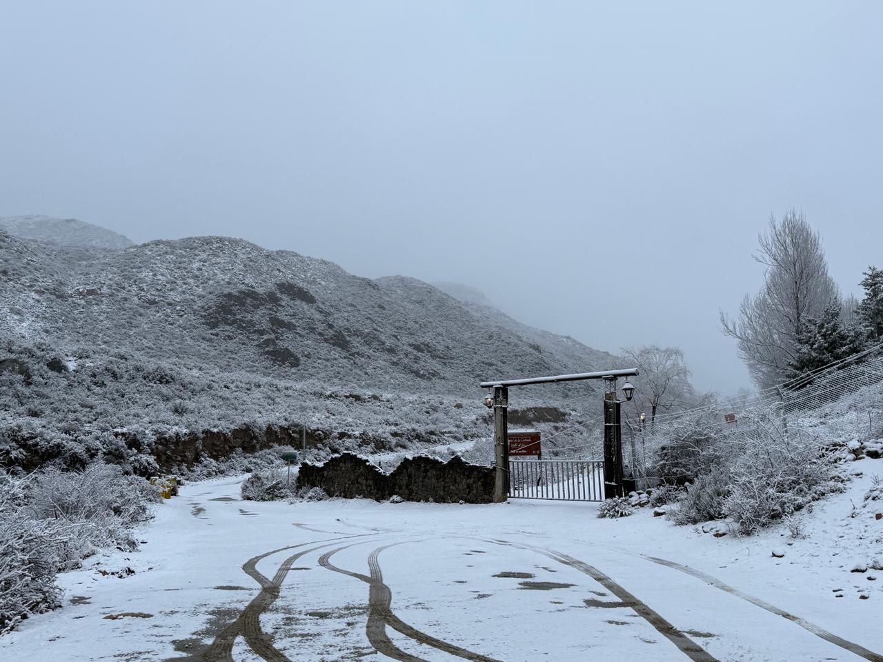 Nieve2