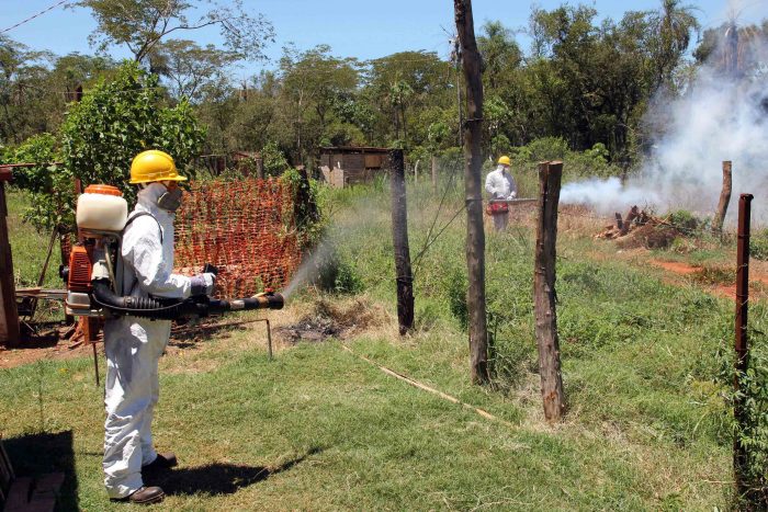 Lucha contra el dengue
