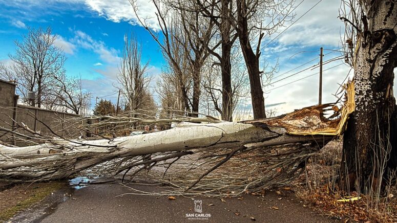 Tormenta en San Carlos