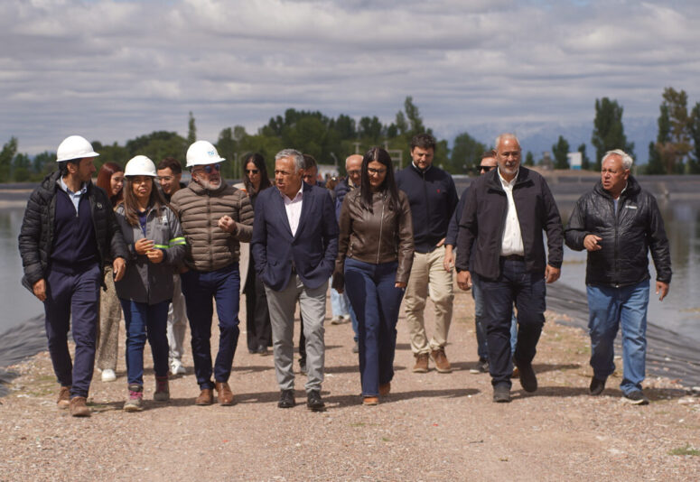 Cornejo en San Carlos Cornejo en San Carlos