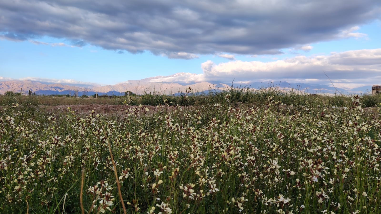 IMG-20251031-WA0000 IMG-20251031-WA0000