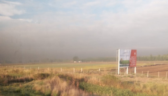 IMG_20251029_082440_(700_x_400_píxel) IMG_20251029_082440_(700_x_400_píxel)