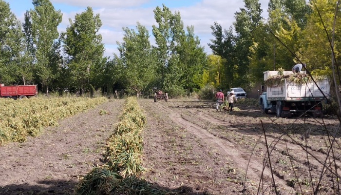 IMG_20251030_122457_(700_x_400_píxel) IMG_20251030_122457_(700_x_400_píxel)