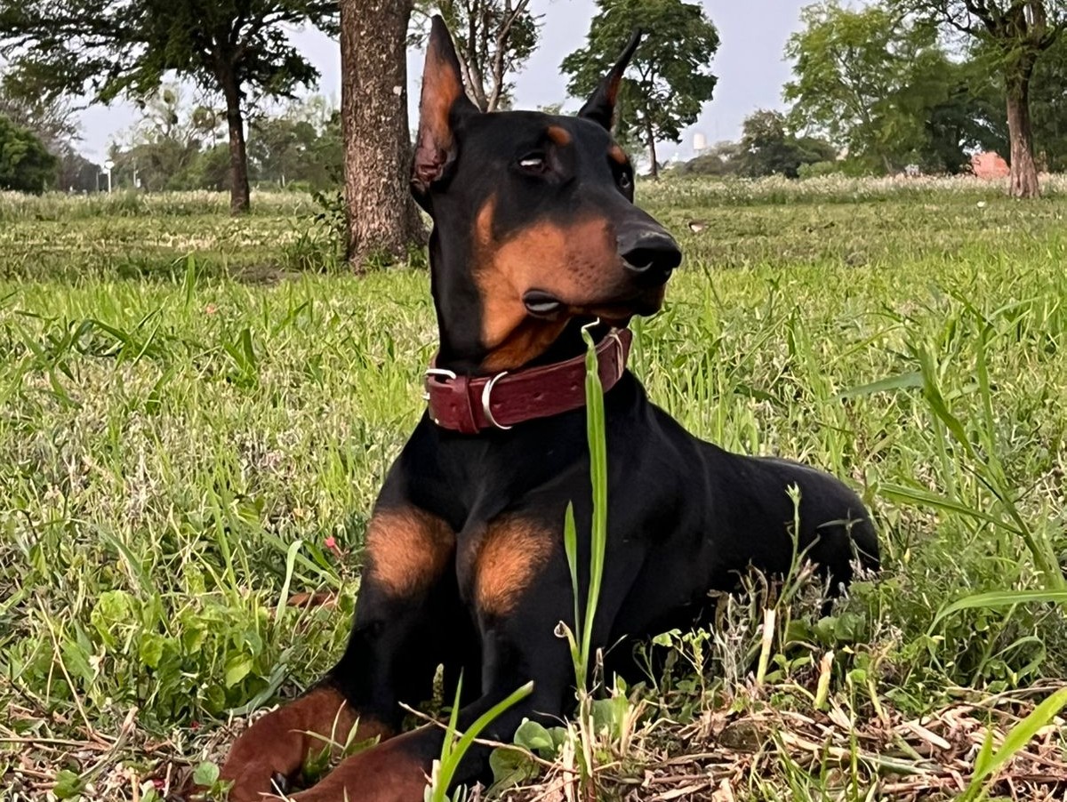 IMG-20251109-WA0005~2