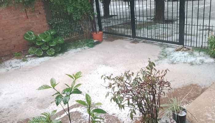 IMG_20251107_085431_(700_x_400_píxel)