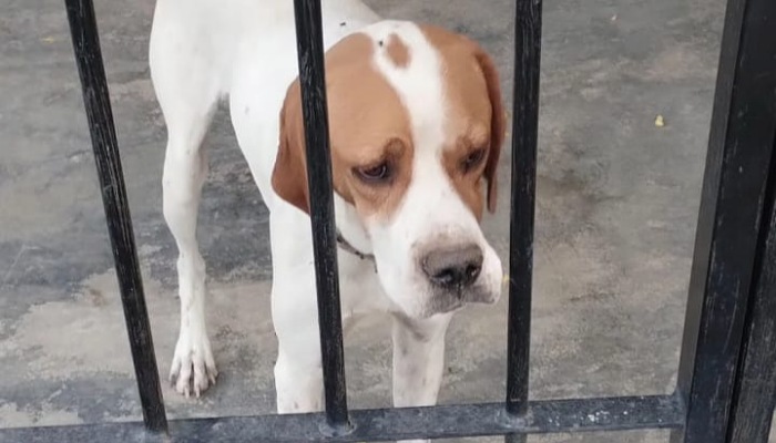 IMG_20251111_105937_(700_x_400_píxel)