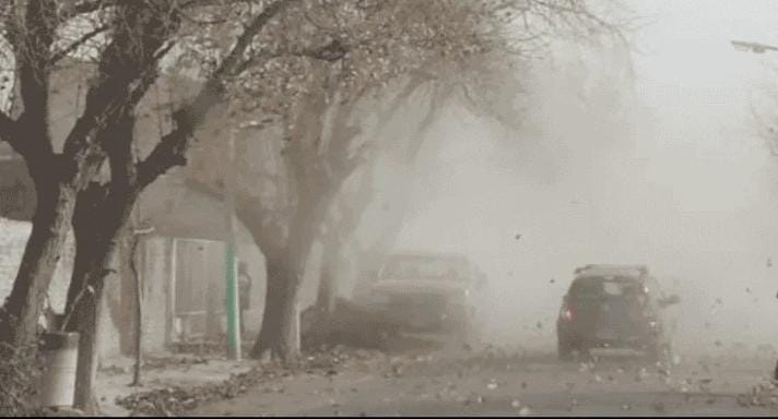 WhatsApp Image 2025-11-21 at 9.12.52 AM