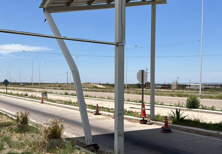 WhatsApp Image 2025-11-27 at 9.38.08 AM