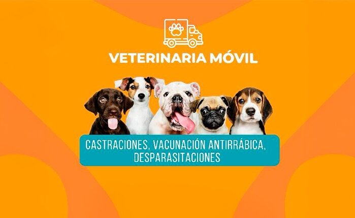 veterinaria movil