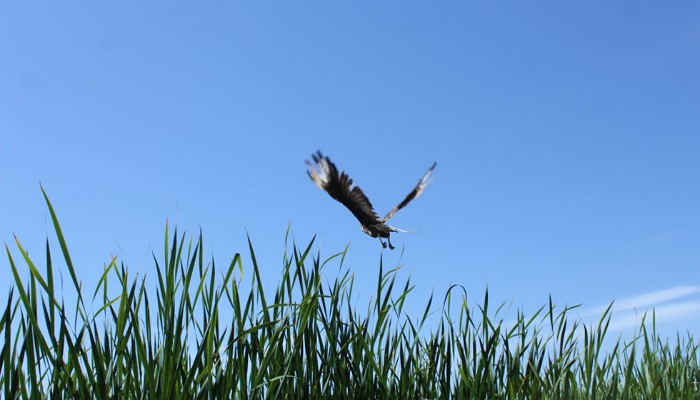 CREATOR: gd-jpeg v1.0 (using IJG JPEG v80), quality = 82?