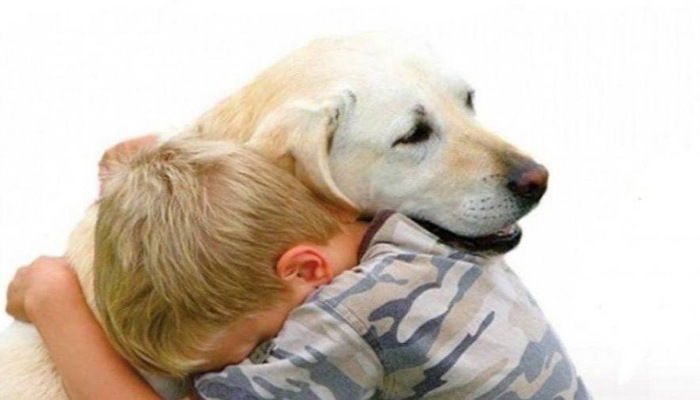 IMG_20251212_082507_(700_x_400_píxel)