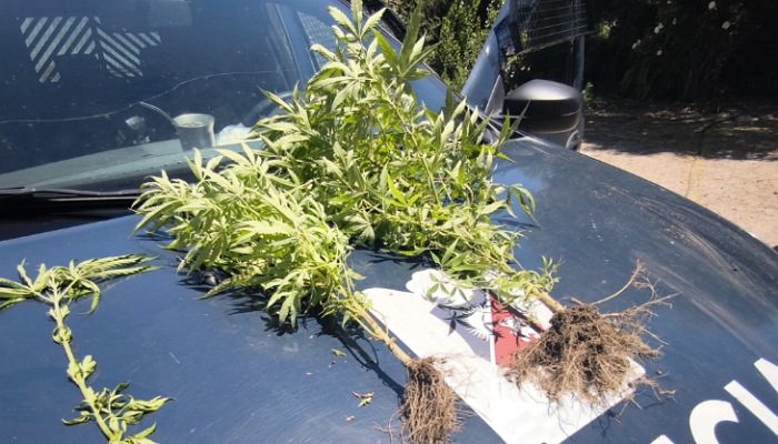 IMG_20251229_085646_(700_x_400_píxel)