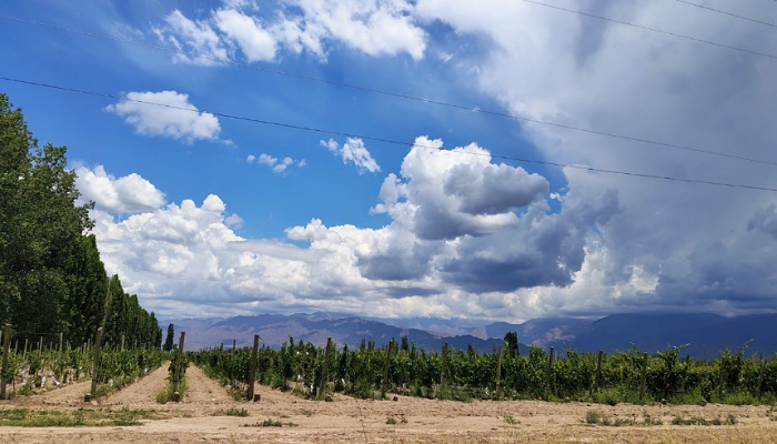 IMG_20260101_102908_(700_x_400_píxel)