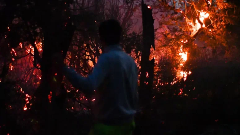 Incendios en la Patagonia