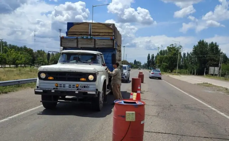 Control de la Lobesia Botrana