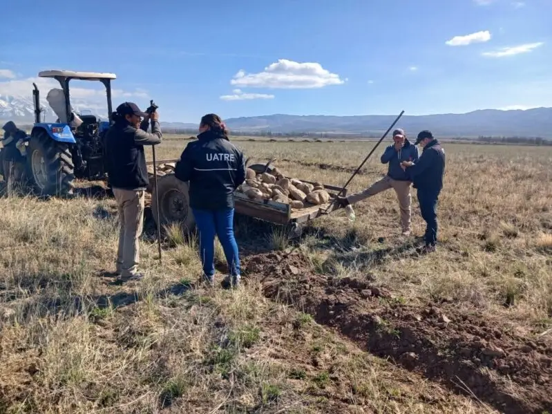 WhatsApp Image 2026-02-05 at 11.50.23 AM